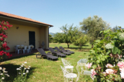 Anteprima Foto 0