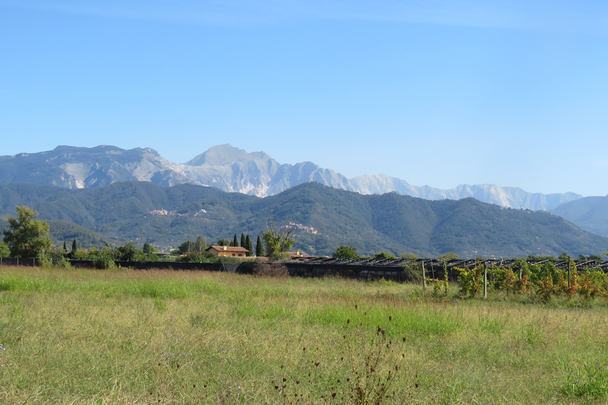 Ca del Sale - Foto 4