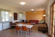 Anteprima Foto 7