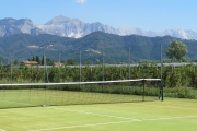 Anteprima Foto 25